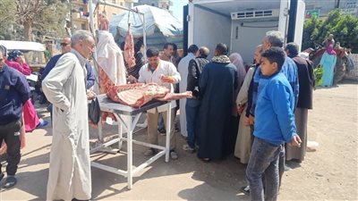 اليوم، قافلة سيارات اللحوم بسعر 260 جنيه بمركز ومدينة منية النصر 