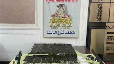 مقتل زعيم بؤرة إجرامية عقب تبادل لإطلاق النيران مع الشرطة بالشرقية 