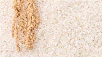 سعر كيلو الأرز اليوم الخميس 13-3-2025 في الأسواق