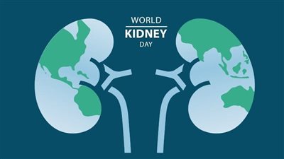 في اليوم العالمي للكلى 2025، الصحة تنصح بتجنب تناول المسكنات بكثرة لهذا السبب