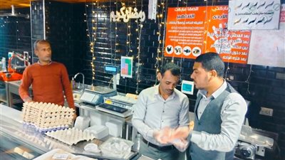 تكثيف حملات الطب البيطري لضبط الأسواق في أسوان (صور)