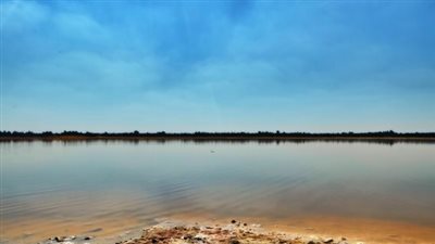 حالة الطقس اليوم الخميس 16 -4- 2025 بوادي النطرون 