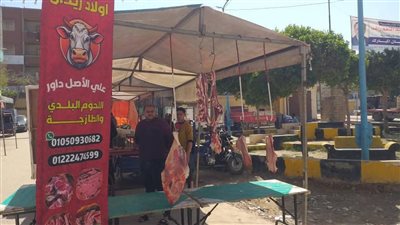 إقبال المواطنين على سوق المزارعين لليوم الواحد بالإسكندرية 