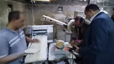 ضبط طن نخالة وتحرير311 مخالفة في حملات تموينية بالدقهلية 