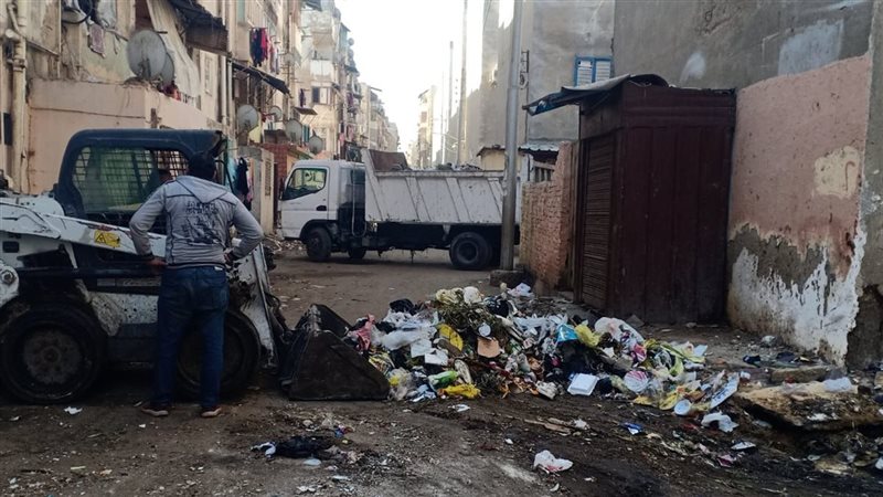 حملات نظافة بالدقهلية،