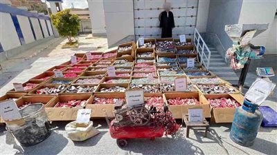 الداخلية تضبط أكثر من 60 مليون قطعة ألعاب نارية منذ بداية شهر رمضان (صور)