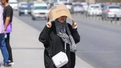 حالة الطقس غدا، مائل للحرارة نهارا بارد ليلا