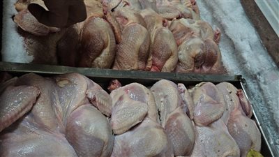 صحة الدقهلية: إدارة مراقبة الأغذية توصي بغلق 64 منشأة 