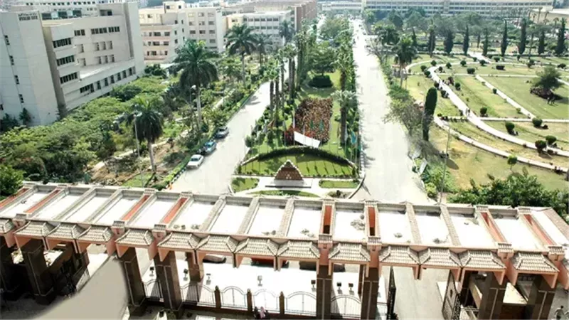 جامعة المنصورة، فيتو