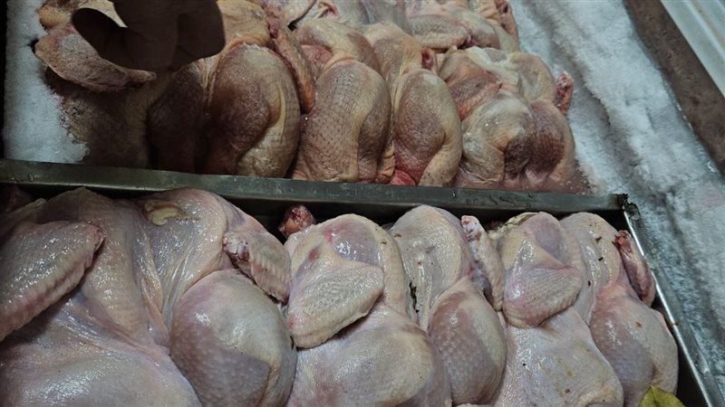 حملات صحية بالدقهلية،