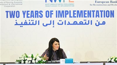 المشاط: برنامج «نوفي» يدعم صياغة وتنفيذ سياسات الإصلاح الهيكلي للتحول الأخضر 