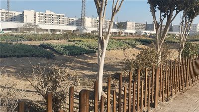 جامعة حلوان تنفذ المرحلة الخامسة من مشروع تشغيل الألف طالب