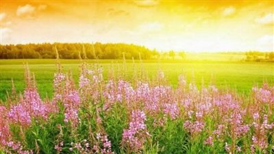  القومي للبحوث الفلكية: تساوي الليل والنهار بالقاهرة اليوم 