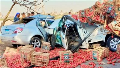 إصابة شخصين في حادث تصادم سيارتين في المنيا