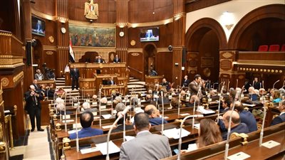 نائب أمام الشيوخ: أغلب العقارات في مصر غير مسجلة حتى الآن