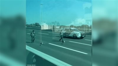 شرطة أبو ظبي تحمي سربا من البط خلال عبوره الطريق (فيديو)