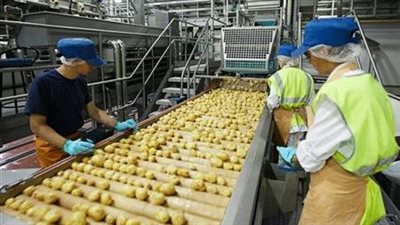 الصناعات الغذائية تطلق وسائل تواصل مع أعضائها 