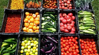  أسعار الخضار اليوم، ارتفاع الطماطم والبطاطس والفلفل في سوق العبور