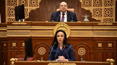 10 توصيات حول مستقبل الحماية الاجتماعية مقدمة من الشيوخ إلى الحكومة 