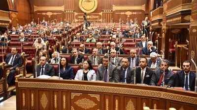 الشيوخ يحيل عددًا من تقارير اللجان النوعية إلى الحكومة 