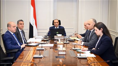 وزير الخارجية يعقد اجتماعًا افتراضيًا مع سفراء مصر بالخارج (صور)