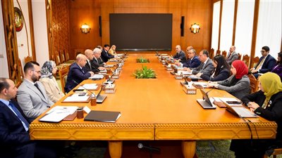 عبد العاطي يبحث متطلبات سوق العمل الخارجي مع وزراء التعليم العالي والتعليم والعمل