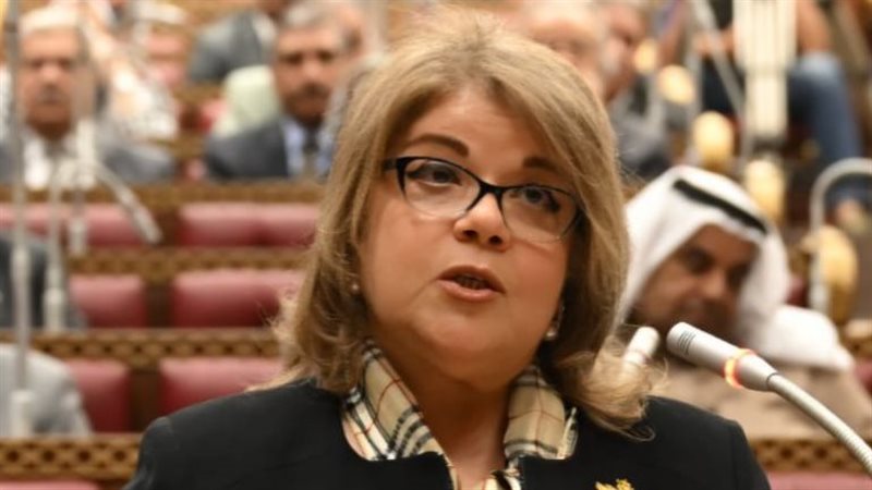 النائبة فيبي فوزي