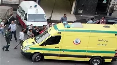 قرار من النيابة بشأن مقتل شاب على يد عمه بقنا