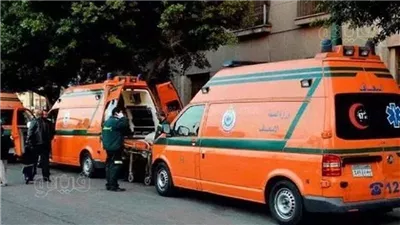 إصابة شخصين في تصادم سيارتين بشمال سيناء