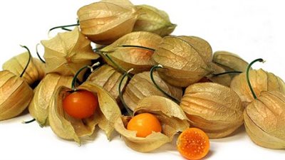 فوائد الحرنكش، ينظم مستوى السكر بالدم ويؤخر علامات الشيخوخة 