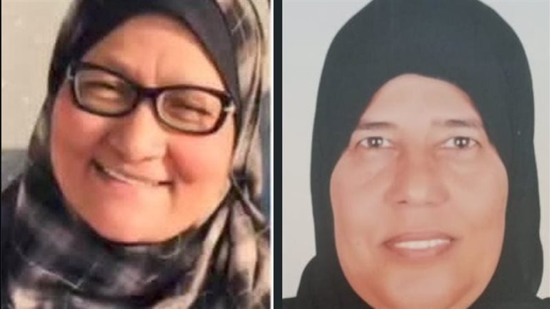 الأمهات المثاليات