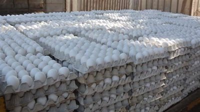 مجلس الوزراء يعتمد دراسة 