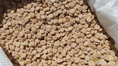 استعدادًا للعيد، تعرف على أسعار الترمس وحمص الشام في الأسواق