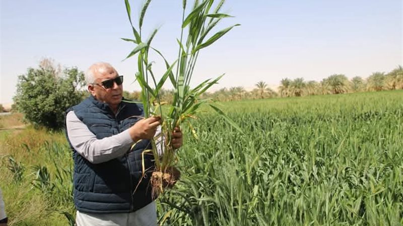 محافظ الوادى الجديد،