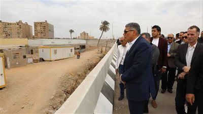 محافظ الجيزة يتفقد أعمال تحسين الصورة البصرية للطريق الدائري 