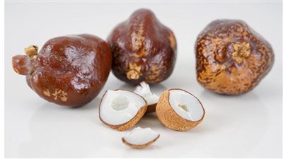 الدوم، كنز طبيعي للجهاز الهضمي وصحة القلب