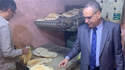 ضبط 4 أطنان لحوم ورنجة فاسدة خلال حملات تموينية بالدقهلية (صور) 