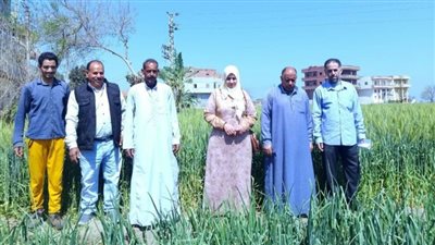 زراعة الشرقية تنفذ ندوة إرشادية للنهوض بمحصول القمح