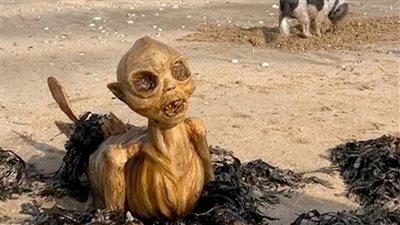 هيكل حورية بحر على الساحل البريطاني يثير دهشة السكان (صور)