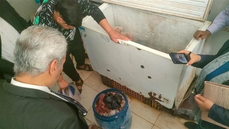 تحرير ٧٥ محضرا وإعدام