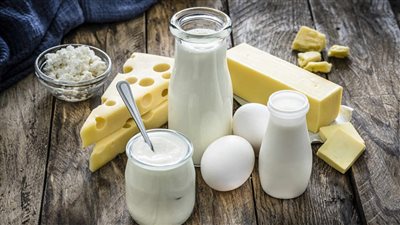 نصائح هامة من زراعة الجيزة لكيفية اختيار وحفظ منتجات الألبان 