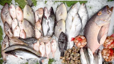 سعر السمك اليوم بسوق العبور، ارتفاع البلطي والدنيس والسبيط وانخفاض الجمبري 