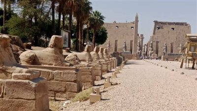 حملة لإزالة الحشائش بمحيط مسار طريق الكباش في الأقصر