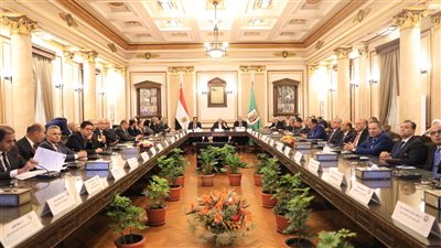 الأعلى للجامعات يقرر تشكل لجنة لتطوير الدراما والإعلام