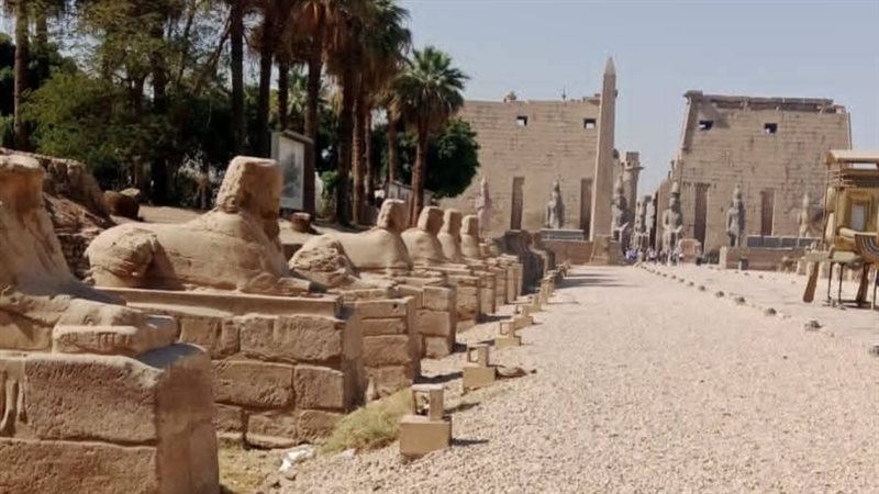 طريق الكباش 