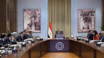 رئيس الوزراء يستعرض موقف تخصيص الأراضي لمشروعات الطاقة الجديدة.. وموقف الطاقة في الصيف المقبل