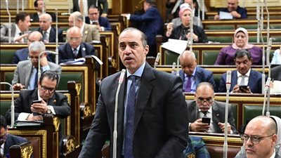 الحكومة تدرس مقترحًا لمواجهة أزمة «استمارة 6» وإجبار العامل على الاستقالة 