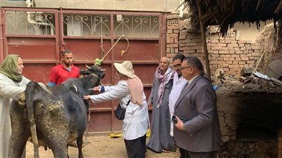 تحصين وعلاج أكثر من 342 ألف رأس ماشية وأغنام وطيور بالدقهلية 