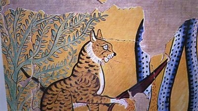 خبير أثري يوضح أسباب ظهور حيوان الوشق على جدران المعابد والمناطق الأثرية