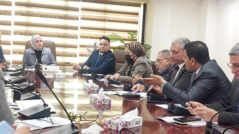 مصلحة الضرائب المصرية،فيتو